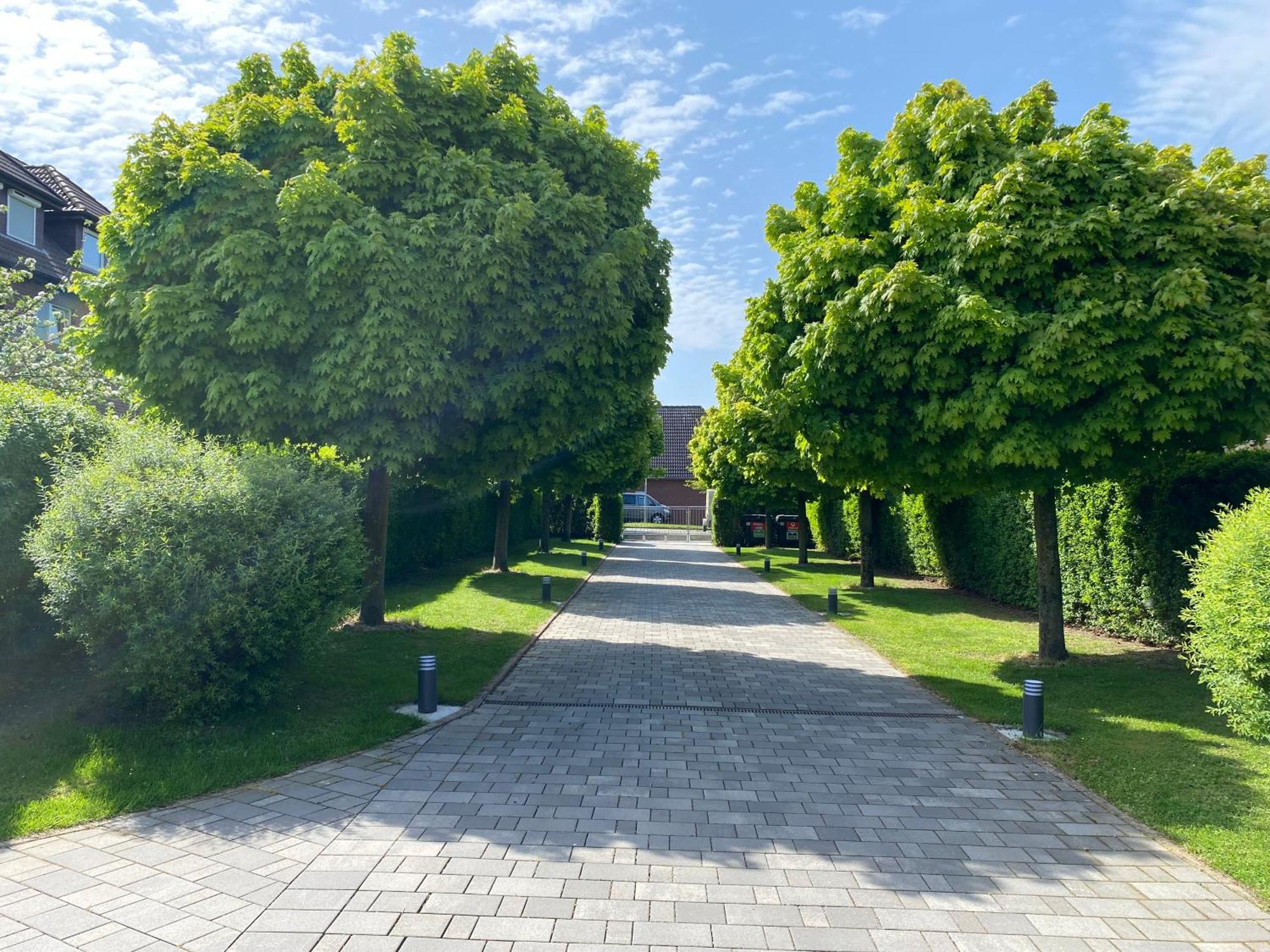 Vincent Im Park, Nahe Messe, Hannover Und Hildesheim * Nordstemmen